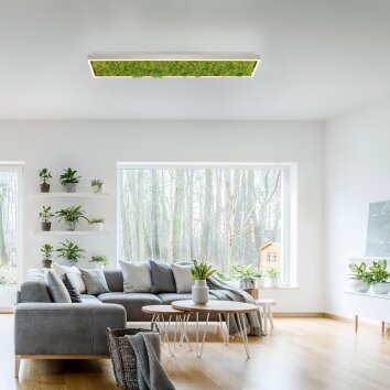 Plafonnier Leuchten-Direkt GREEN KNUT LED Argenté, 1 lumière