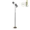 Lampadaire Leuchten-Direkt GREEN WIDOW Écru, Noir, 3 lumières