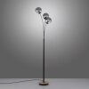 Lampadaire Leuchten-Direkt GREEN WIDOW Écru, Noir, 3 lumières