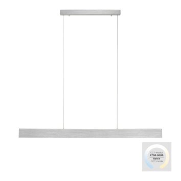 Suspension Paul-Neuhaus NANIA LED Argenté, 1 lumière