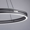 Suspension Paul-Neuhaus PURE E-LOOP LED Gris, 2 lumières, Télécommandes