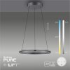 Suspension Paul-Neuhaus PURE E-LOOP LED Gris, 2 lumières, Télécommandes