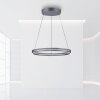 Suspension Paul-Neuhaus PURE E-LOOP LED Gris, 2 lumières, Télécommandes