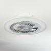 Ventilateur de plafond Terradura LED Chrome, Blanc, 1 lumière, Télécommandes