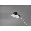 Lampadaire Reality Haora LED Nickel mat, 2 lumières