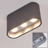 Plafonnier Dalarna LED Gris, Argenté, 1 lumière