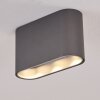 Plafonnier Dalarna LED Gris, Argenté, 1 lumière