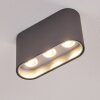 Plafonnier Dalarna LED Gris, Argenté, 1 lumière