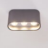 Plafonnier Dalarna LED Gris, Argenté, 1 lumière