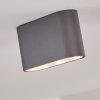 Plafonnier Dalarna LED Gris, Argenté, 1 lumière