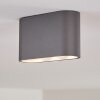 Plafonnier Dalarna LED Gris, Argenté, 1 lumière