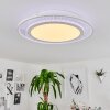 Plafonnier Haumonia LED Blanc, 2 lumières, Télécommandes, Changeur de couleurs