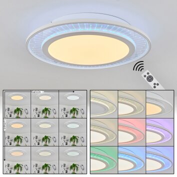 Plafonnier Haumonia LED Blanc, 2 lumières, Télécommandes, Changeur de couleurs