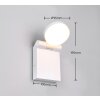 Applique murale Trio ADOUR LED Blanc, 1 lumière