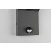 Applique murale Trio ADOUR LED Anthracite, 1 lumière, Détecteur de mouvement