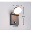 Applique murale Trio ADOUR LED Anthracite, 1 lumière, Détecteur de mouvement