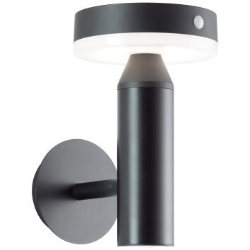 Applique murale d'extérieur Brilliant Magua LED Noir, 1 lumière