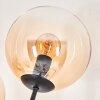 Lampadaire - Verre 15 cm Gastor Noir, 6 lumières