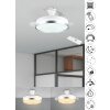 Ventilateur de plafond Reality LINDBERG LED Titane, 1 lumière, Télécommandes