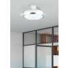 Ventilateur de plafond Reality LINDBERG LED Titane, 1 lumière, Télécommandes