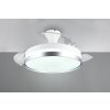 Ventilateur de plafond Reality LINDBERG LED Titane, 1 lumière, Télécommandes