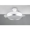 Ventilateur de plafond Reality LINDBERG LED Titane, 1 lumière, Télécommandes