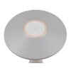 Lampe de table Reality TORREZ LED Gris, 1 lumière