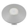 Lampe de table Reality TORREZ LED Gris, 1 lumière