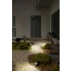 Endura Spot de jardin Luminaires Ledvance LED Noir, 1 lumière