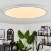 Plafonnier Sani LED Blanc, 1 lumière, Télécommandes, Changeur de couleurs