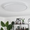 Plafonnier Sani LED Blanc, 1 lumière, Télécommandes, Changeur de couleurs