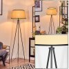 Chellas Lampadaire beige, Noir, 1 lumière