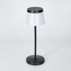 Algeraz Lampe de table d'extérieur, Lampe à poser LED Noir, 1 lumière