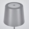 Belece Lampe de table d'extérieur, Lampe à poser LED Gris, 1 lumière