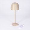 Asen Lampe de table d'extérieur, Lampe à poser LED Beige, 1 lumière