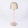 Asen Lampe de table d'extérieur, Lampe à poser LED Beige, 1 lumière