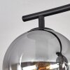 Gastor Plafonnier, Boule lumineuse Clair, Fumé, 4 lumières