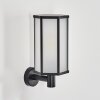 Monfanim Lampe murale d´extérieur Noir, 1 lumière