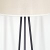 Bassagoda Lampadaire beige, Blanc, 1 lumière