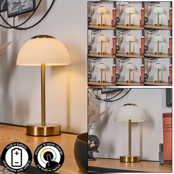 Rands Lampe à poser LED Laiton, 1 lumière