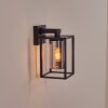 Trancozelos Lampe murale d´extérieur Noir, 1 lumière