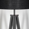 Flemming Lampadaire Noir, 1 lumière