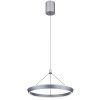 FERRA Suspension Luminaires Globo Lighting LED Gris, 1 lumière