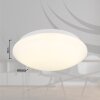 Onega Plafonnier Luminaires Globo Lighting LED Blanc, 1 lumière