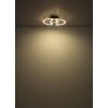 Karen Ventilateur de plafond lumineux Luminaires Globo Lighting LED Écru, Noir, 1 lumière, Télécommandes