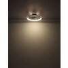 Celeste Ventilateur de plafond lumineux Luminaires Globo Lighting LED Noir, 1 lumière, Télécommandes