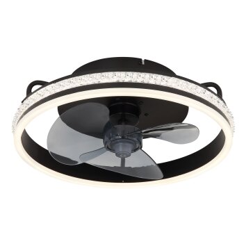 Cataleya Ventilateur de plafond lumineux Luminaires Globo Lighting LED Noir, 1 lumière, Télécommandes