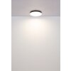 Matthew Plafonnier Luminaires Globo Lighting LED Noir, Blanc, 1 lumière