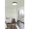 Matthew Plafonnier Luminaires Globo Lighting LED Noir, Blanc, 1 lumière