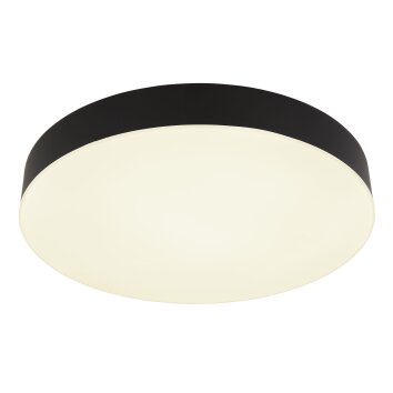 Matthew Plafonnier Luminaires Globo Lighting LED Noir, Blanc, 1 lumière